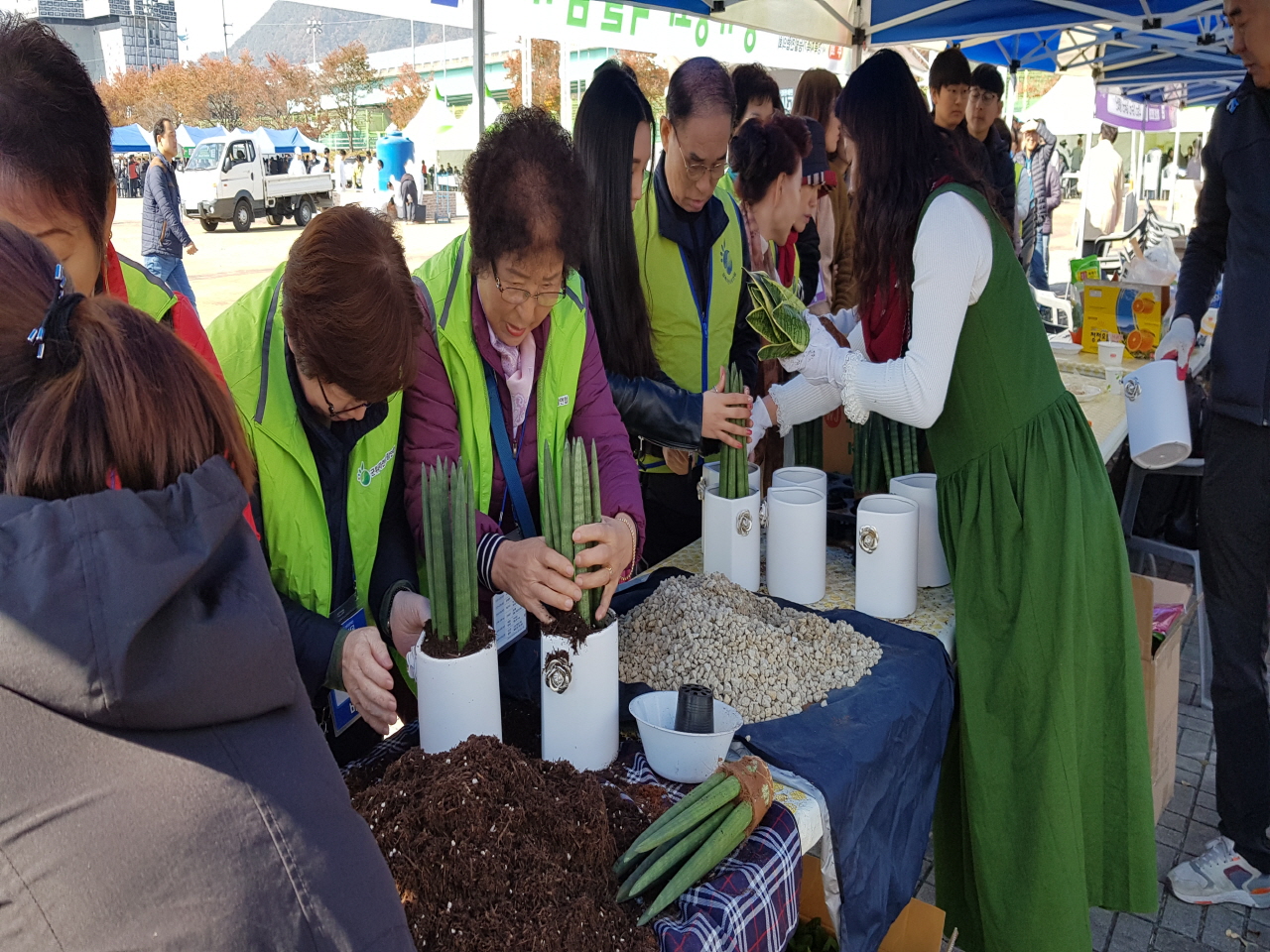 미세먼지 잡는 공기정화 식물심기 체험행사